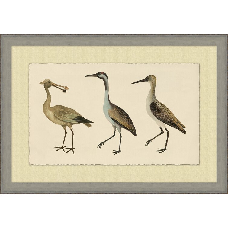 Wendover Art Group Coastal Birds 1 By Wendover Art Group | Perigold